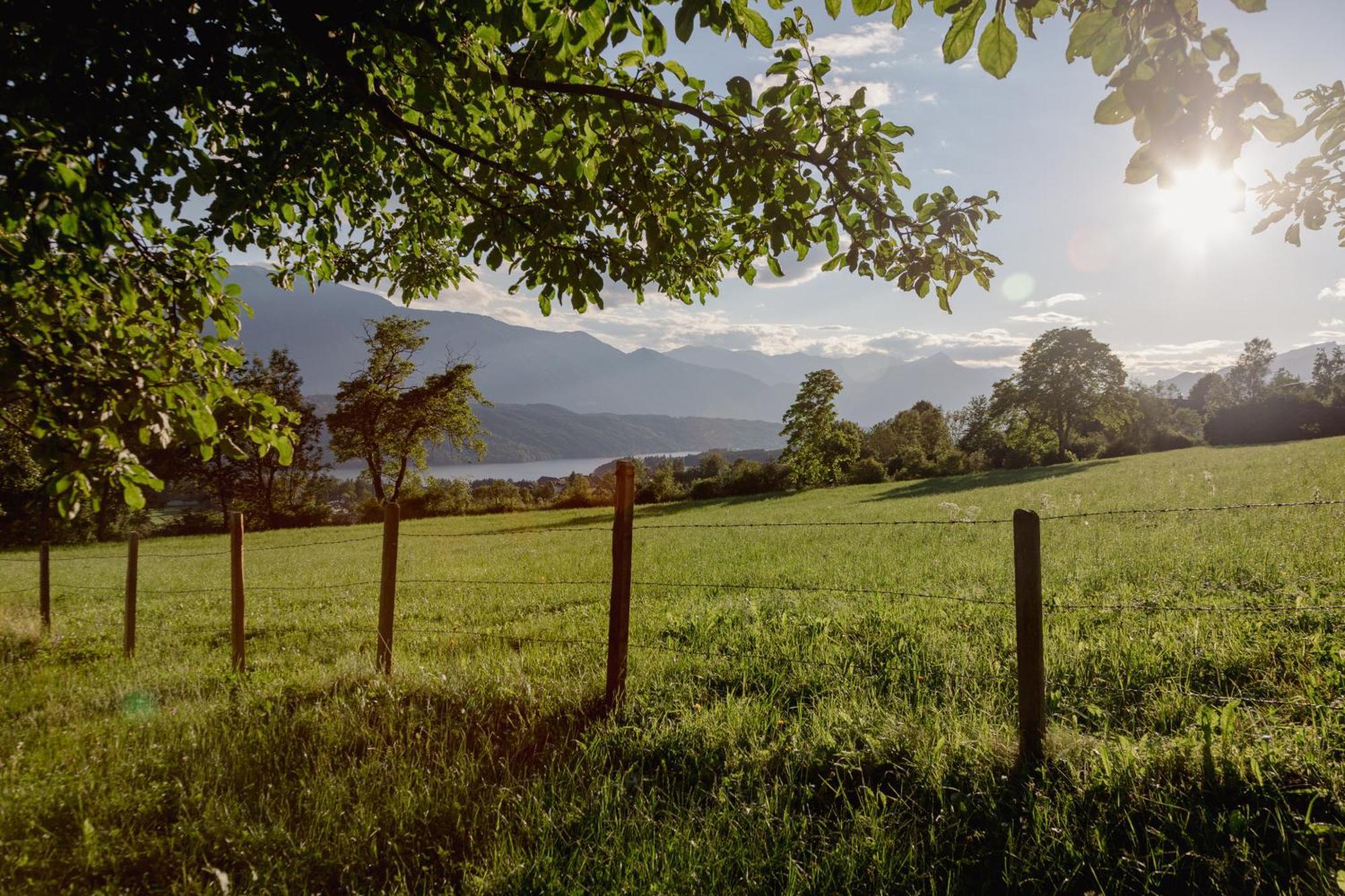 Bio- Und Vitalbauernhof Bacherhof Millstatt Buitenkant foto