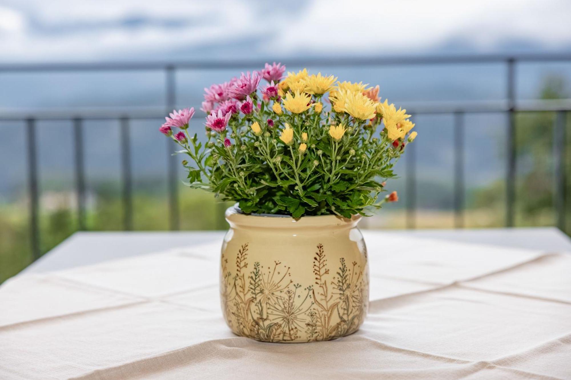 Bio- Und Vitalbauernhof Bacherhof Millstatt Buitenkant foto